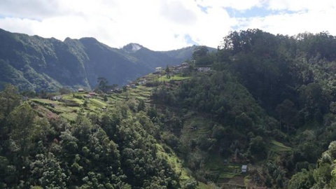 Há cerca de 12 anos foi construída a via de acesso ao local que perfaz um total de 2,1 quilómetros. Fotos Estefânia Câncio
