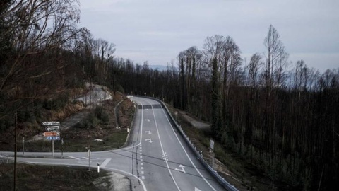 FOTO Rui Oliveira / Global Imagens