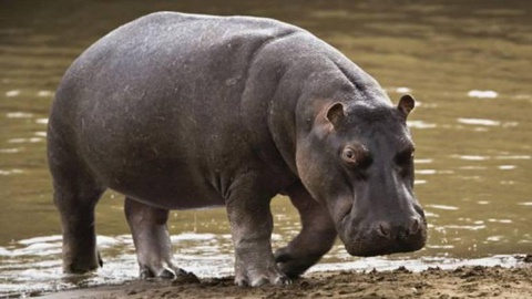 None