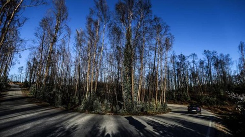 Foto Adelino Meireles/Global Imagens