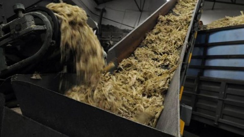 A trituração inicia-se pelas 8 horas do próximo dia 18 de Abril.