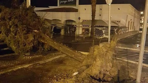 Foto Manuel Correia/Facebook