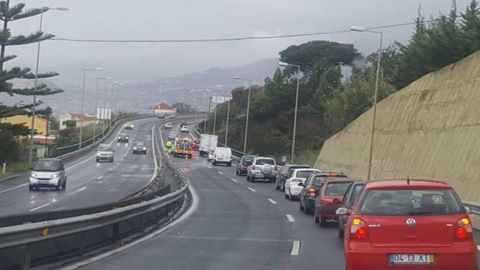 Foto R.D.F./DN-Madeira