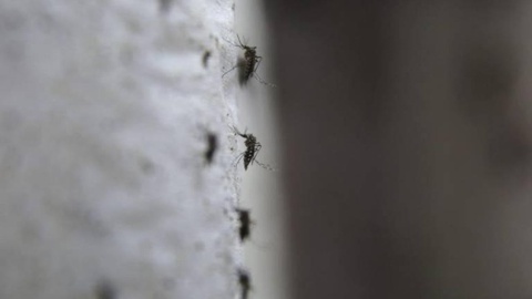 Foto Arquivo