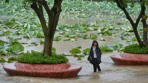FOTO Reuters
