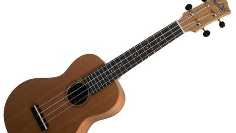 Roberto Moritz e Paulo Esteiro são os divulgadores da braguinha. FOTO DR