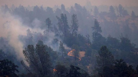 FOTO Reuters