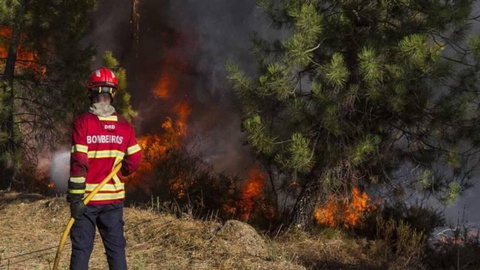 FOTO Global Imagens