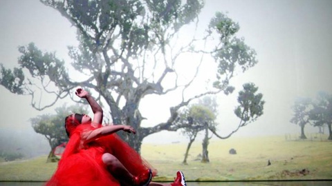 Foto Júlio Castro Silva