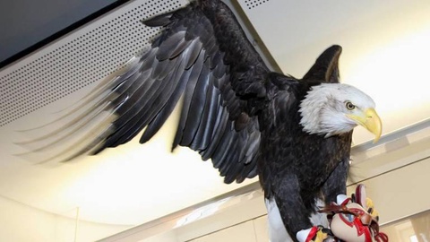 Foto Gerardo Santos / Global Imagens