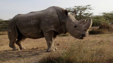 FOTO: Reuters