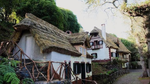 Foto wanderingowls.com