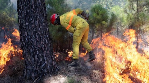 Foto MIGUEL PEREIRA DA SILVA/LUSA