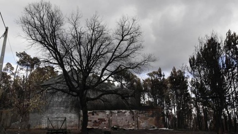 Foto Henriques da Cunha / Global Imagens