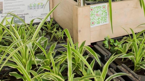 Foto Plant-e.com