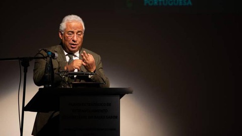 Foto PEDRO SARMENTO COSTA/LUSA