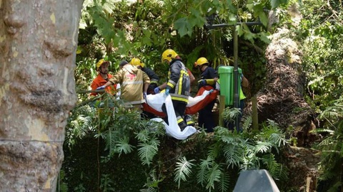 Foto Rui Silva/Aspress