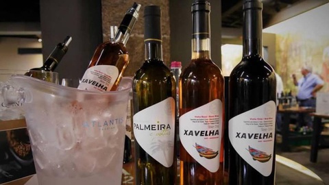 Dois vinhos produzidos na Madeira entram nas provas cegas.   Foto DR