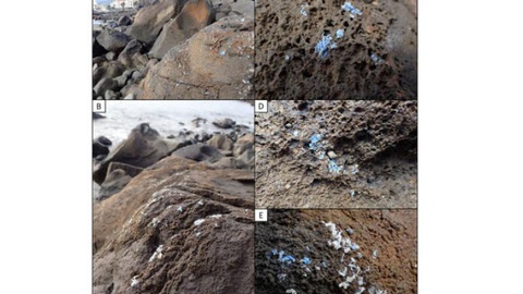 Foto Ignacio Gestoso