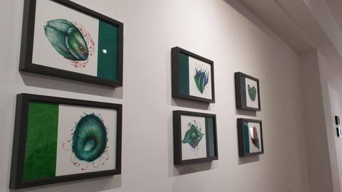 Algumas imagens da exposição que inaugura amanhã na Rua da Carreira.