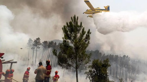 Foto Paulo Novais/Lusa