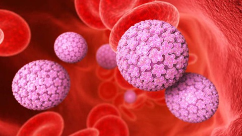 A representação em computador do vírus HPV ou vírus do papiloma humano.