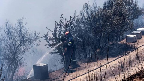 Foto EPA/WASSILIS ASWESTOPOULOS