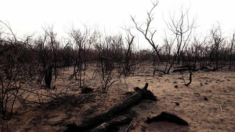 Foto David Mercado/Reuters