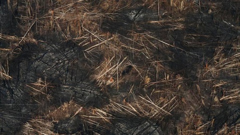 Foto REUTERS/Ricardo Moraes