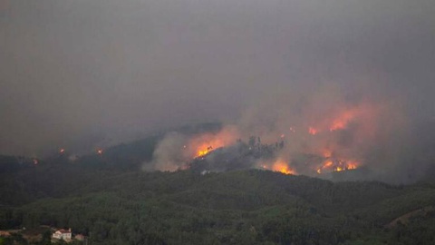 Situação de alerta de agravamento do risco de incêndio florestal mantém-se até domingo, para todo o território continental. FOTO Global Imagens
