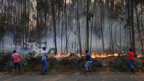 FOTO EPA