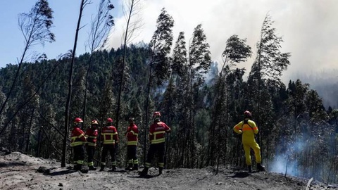 Foto PAULO NOVAIS/LUSA