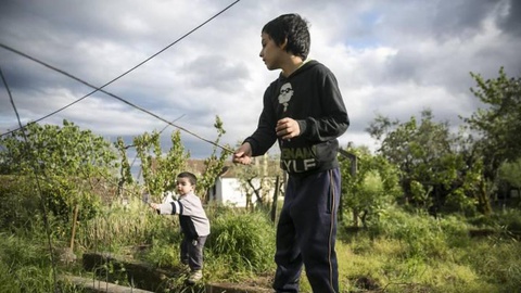 Foto Arquivo Maria João Gala / Global Imagens
