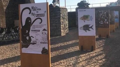 A mostra estará disponível para visita, amanhã, na Quinta Calaça.