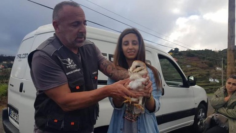 Coube a Joana Vieira as honras de devolução à liberdade o animal que encontrou ferido.