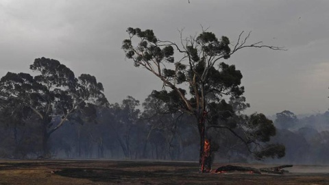 Fotos Reuters