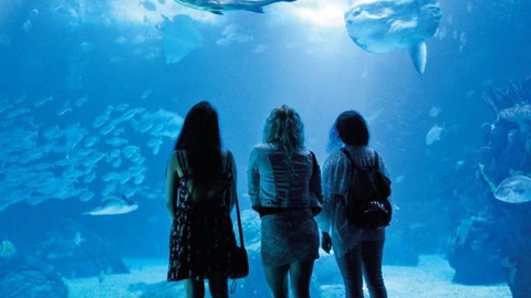 Foto Oceanário de Lisboa