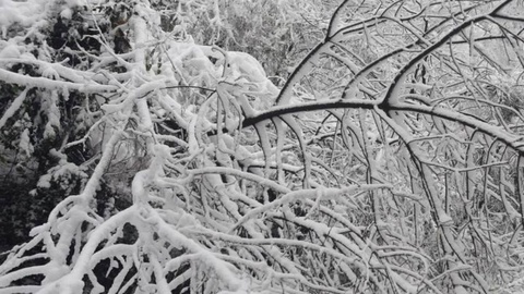 As montanhas podem hoje pintar-se de branco.   Foto Shutterstock