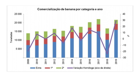 Foto/Gráfico DREM