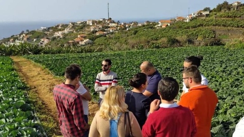 A JP Madeira« visitou hoje duas explorações agrícolas situadas na Ponta do Sol e em Santa Cruz