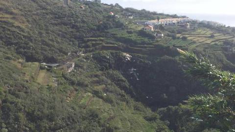 Quem circula na via rápida no Caniço de Baixo, de e para o Aeroporto da Madeira, depara-se com este triste cartaz ‘turístico’: uma lixeira pela ribeira abaixo. A foto é de Rui Silva.