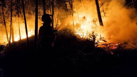 Foto Arquivo Rui Oliveira/Global Imagens