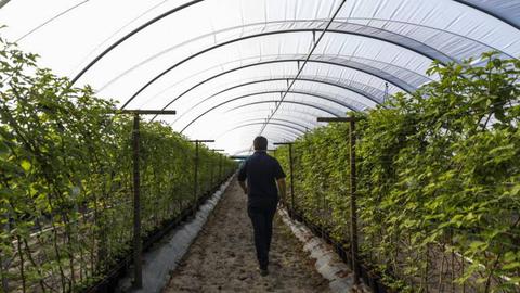 Foto Arquivo/ Artur Machado / Global Imagens