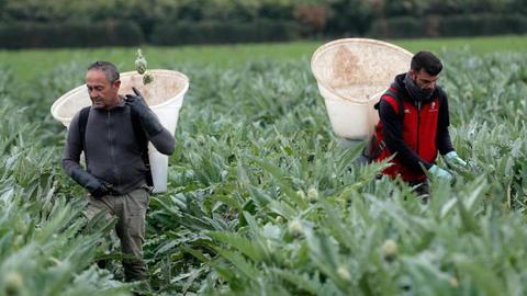 Foto EPA/KAI FOERSTERLING