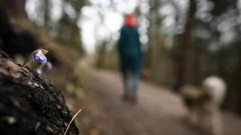 Foto EPA/PHILIPP GUELLAND