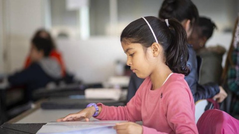 Pedro Correia/Global Imagens