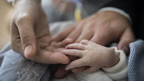 Foto Maria João Gala /Global Imagens