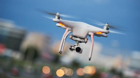 Primeira utilização na Europa de drone de colheita de plantas raras em  ravina — DNOTICIAS.PT