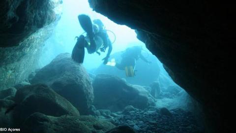 Foto Açoriano Oriental