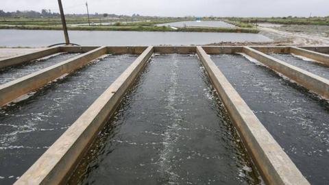 Foto PAULO NOVAIS/LUSA